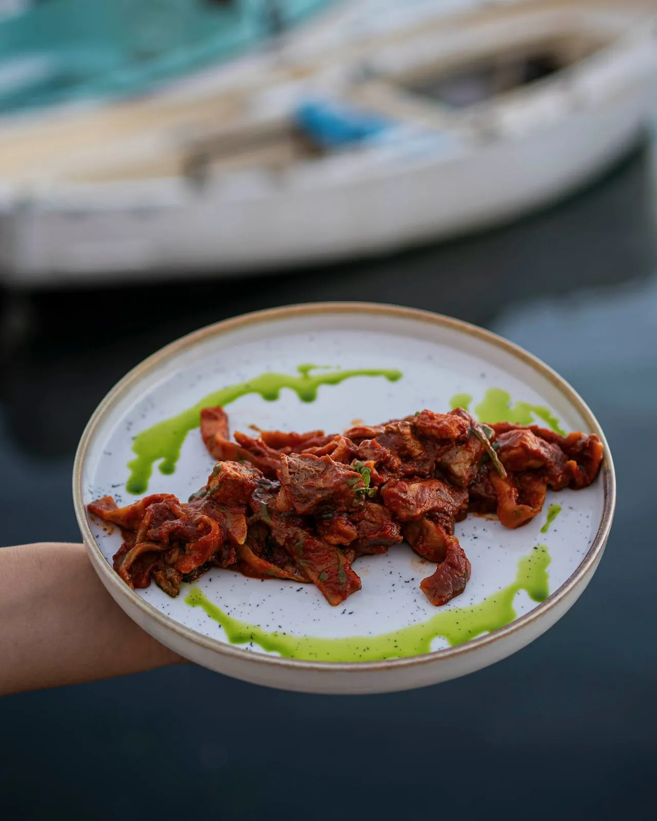 Piatto di carne sfilacciata con salsa verde, sullo sfondo una barca